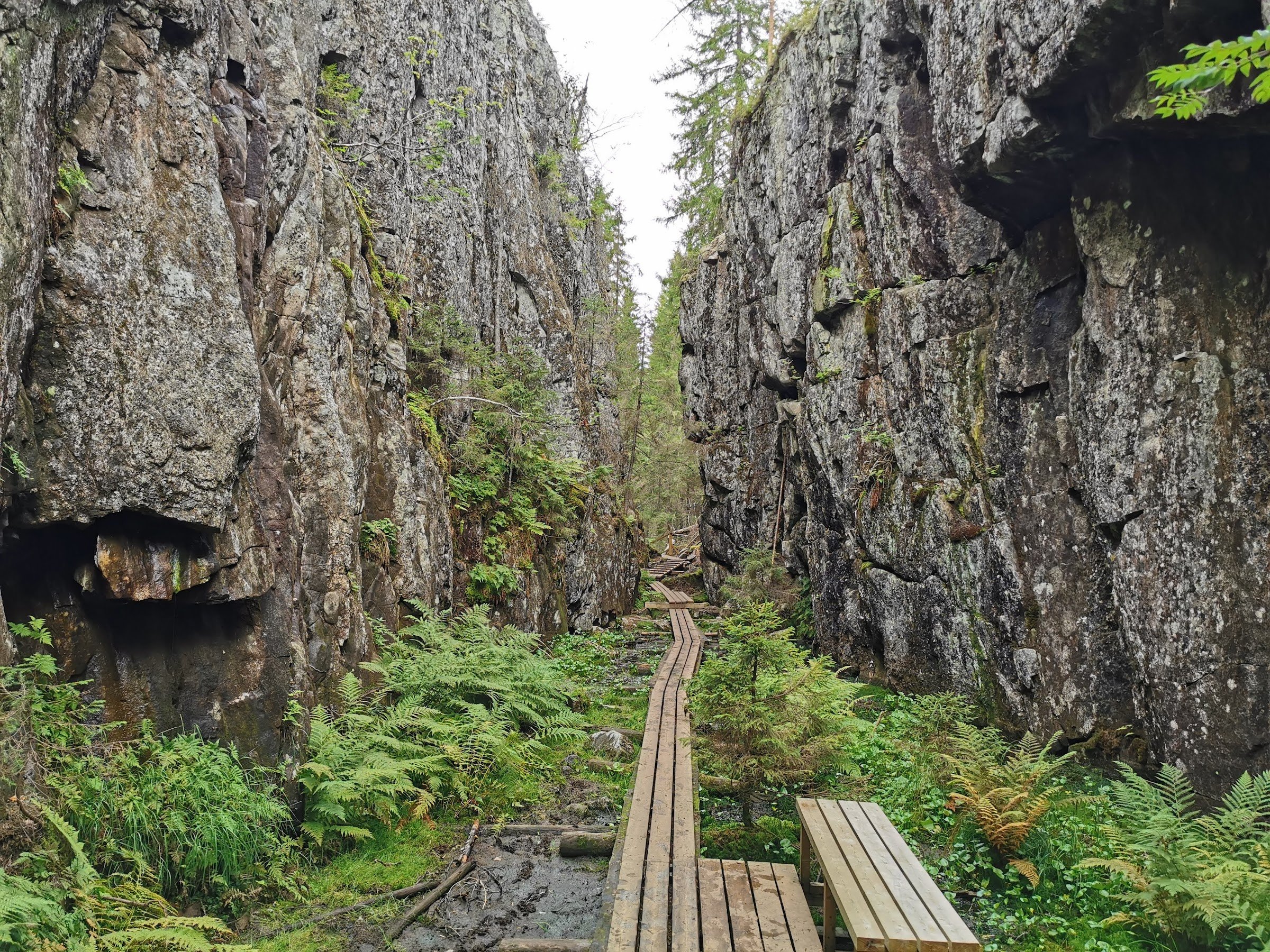 Orinoro Gorge (Orinnoro rotko)